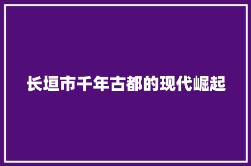 长垣市千年古都的现代崛起