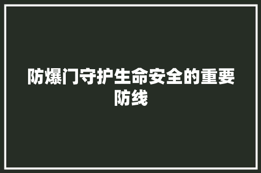 防爆门守护生命安全的重要防线