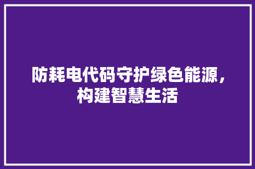 防耗电代码守护绿色能源，构建智慧生活
