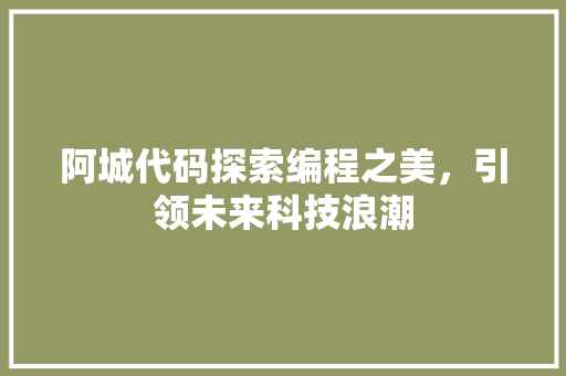 阿城代码探索编程之美，引领未来科技浪潮
