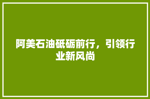 阿美石油砥砺前行，引领行业新风尚