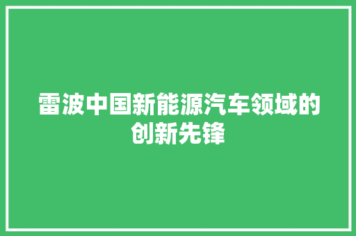 雷波中国新能源汽车领域的创新先锋