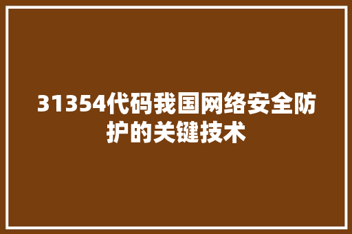 31354代码我国网络安全防护的关键技术