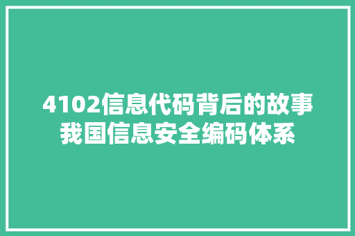 4102信息代码背后的故事我国信息安全编码体系