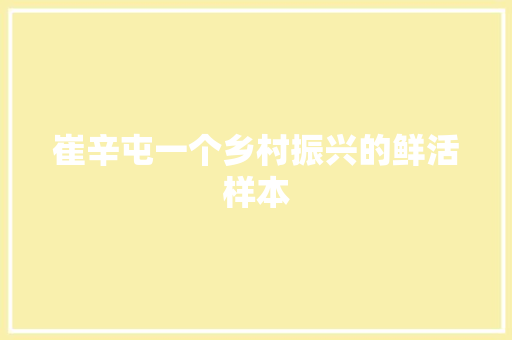 崔辛屯一个乡村振兴的鲜活样本