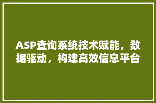 ASP查询系统技术赋能，数据驱动，构建高效信息平台