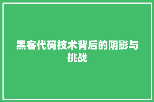 黑客代码技术背后的阴影与挑战