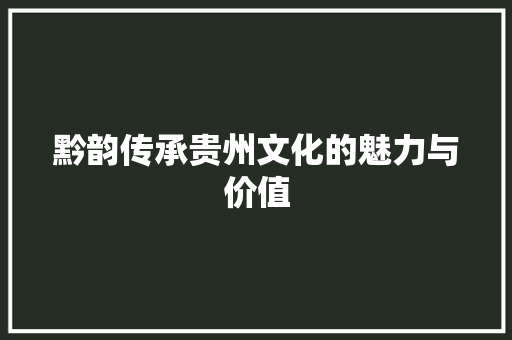 黔韵传承贵州文化的魅力与价值