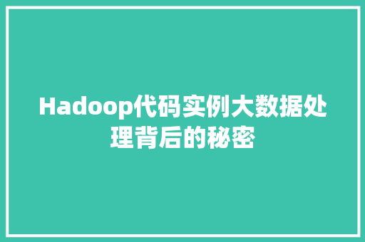 Hadoop代码实例大数据处理背后的秘密