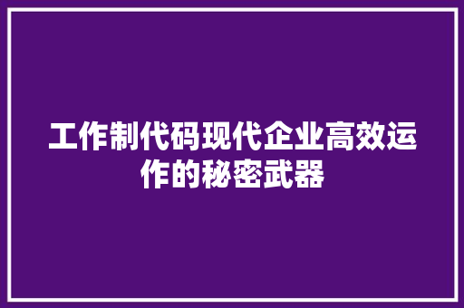 工作制代码现代企业高效运作的秘密武器