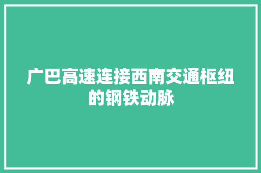 广巴高速连接西南交通枢纽的钢铁动脉