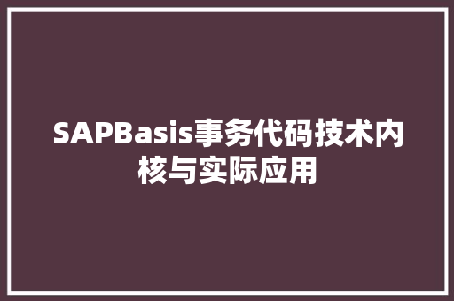 SAPBasis事务代码技术内核与实际应用