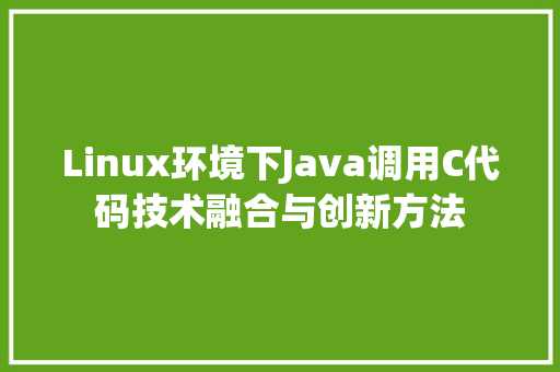 Linux环境下Java调用C代码技术融合与创新方法