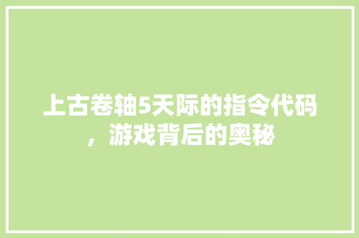 上古卷轴5天际的指令代码，游戏背后的奥秘