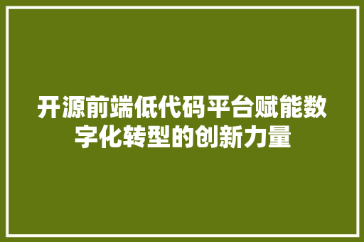 开源前端低代码平台赋能数字化转型的创新力量