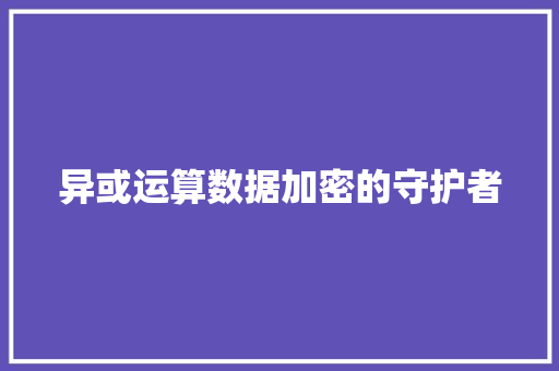 异或运算数据加密的守护者