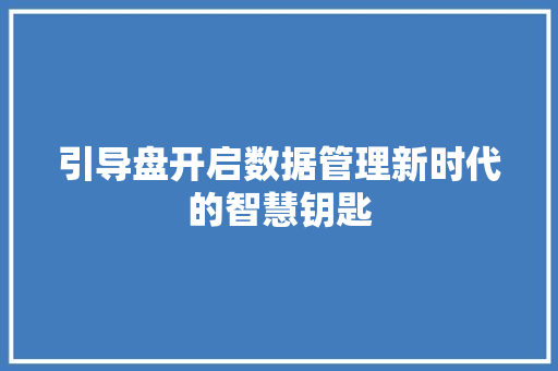 引导盘开启数据管理新时代的智慧钥匙