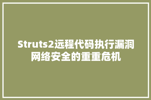 Struts2远程代码执行漏洞网络安全的重重危机