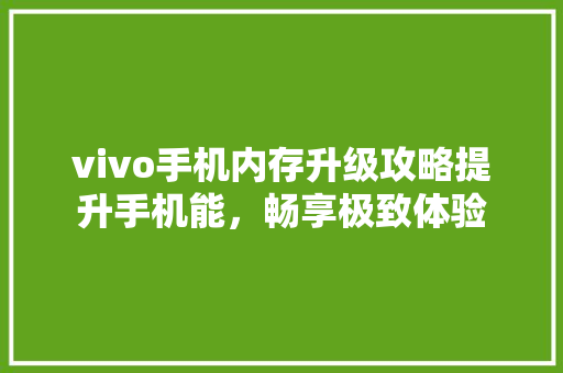 vivo手机内存升级攻略提升手机能，畅享极致体验