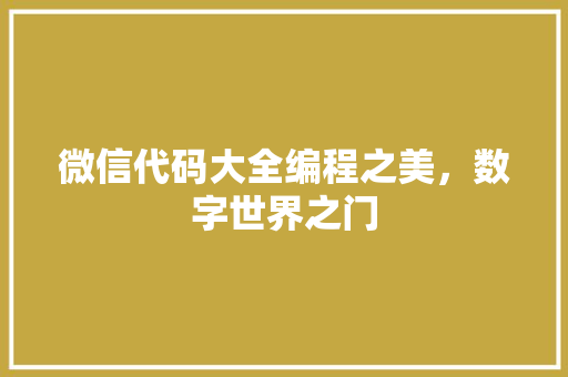 微信代码大全编程之美，数字世界之门