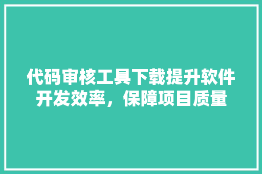 代码审核工具下载提升软件开发效率，保障项目质量
