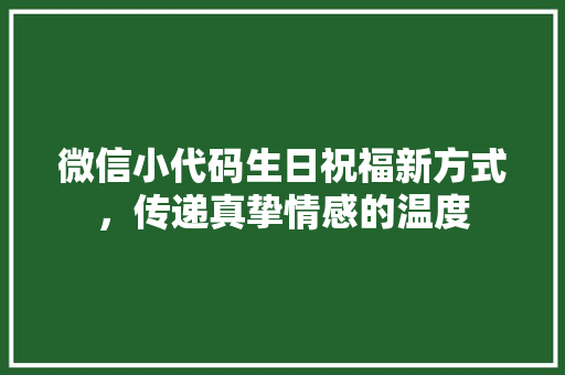 微信小代码生日祝福新方式，传递真挚情感的温度