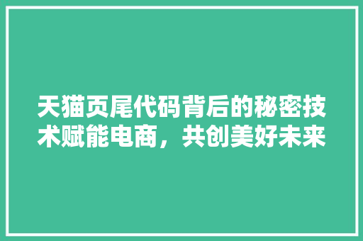 天猫页尾代码背后的秘密技术赋能电商，共创美好未来
