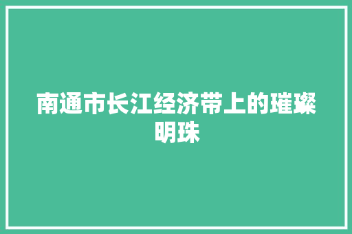南通市长江经济带上的璀璨明珠