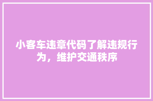 小客车违章代码了解违规行为，维护交通秩序