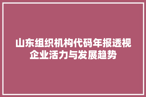 山东组织机构代码年报透视企业活力与发展趋势