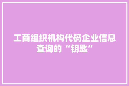 工商组织机构代码企业信息查询的“钥匙”