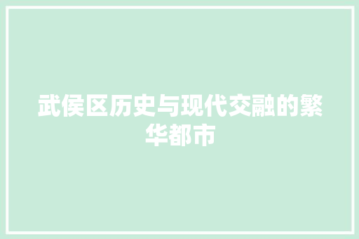 武侯区历史与现代交融的繁华都市