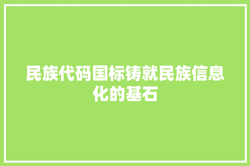 民族代码国标铸就民族信息化的基石
