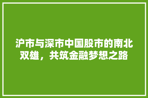沪市与深市中国股市的南北双雄，共筑金融梦想之路