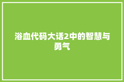 浴血代码大话2中的智慧与勇气