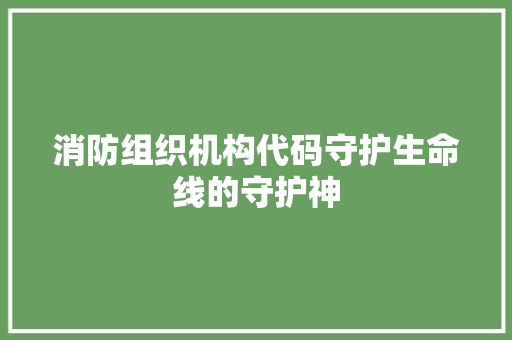 消防组织机构代码守护生命线的守护神