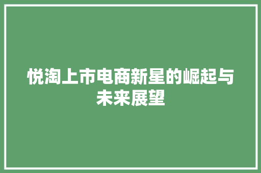 悦淘上市电商新星的崛起与未来展望