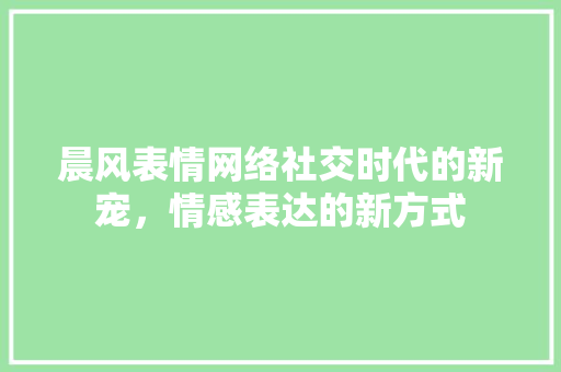 晨风表情网络社交时代的新宠，情感表达的新方式
