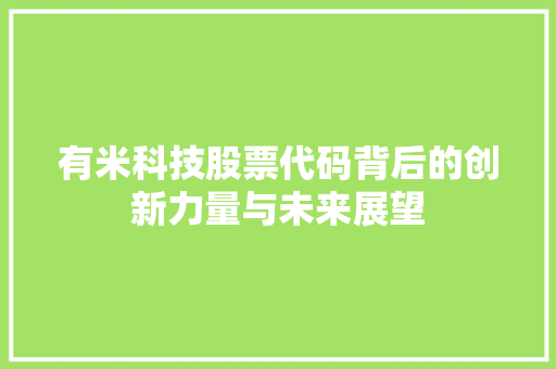 有米科技股票代码背后的创新力量与未来展望