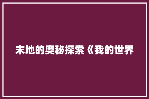 末地的奥秘探索《我的世界