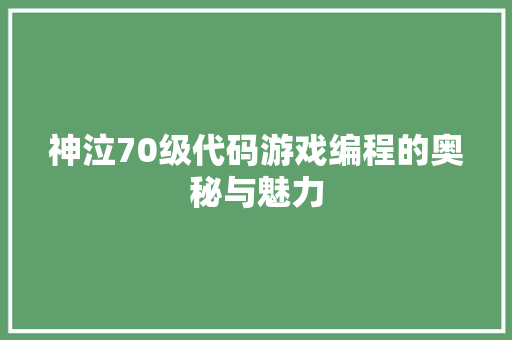 神泣70级代码游戏编程的奥秘与魅力