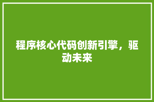 程序核心代码创新引擎，驱动未来