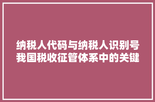 纳税人代码与纳税人识别号我国税收征管体系中的关键纽带