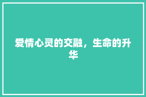 爱情心灵的交融，生命的升华