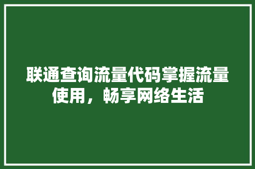 联通查询流量代码掌握流量使用，畅享网络生活