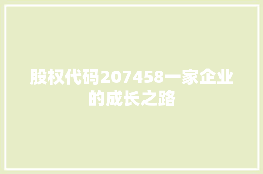 股权代码207458一家企业的成长之路