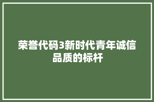 荣誉代码3新时代青年诚信品质的标杆