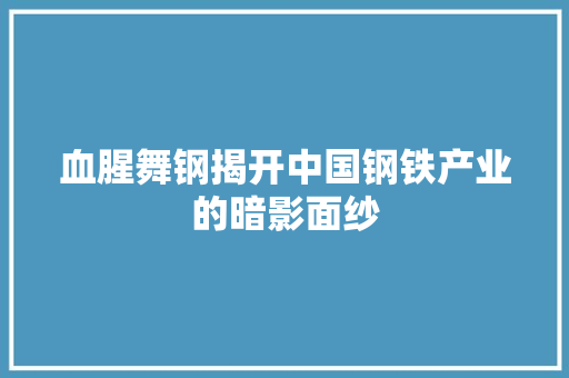 血腥舞钢揭开中国钢铁产业的暗影面纱