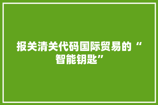 报关清关代码国际贸易的“智能钥匙”