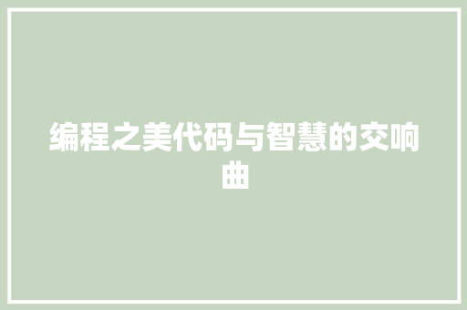 编程之美代码与智慧的交响曲